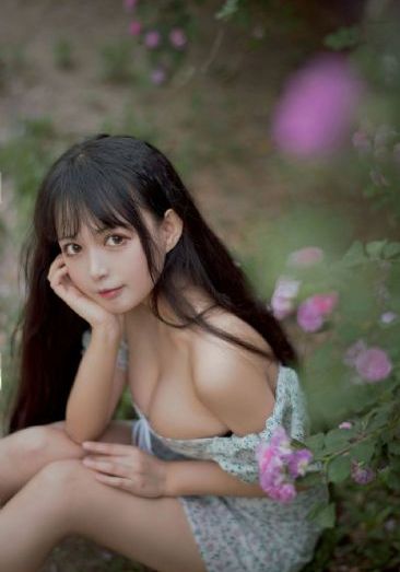 沧元图第一季完整版