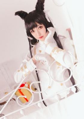 警坛风云